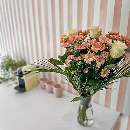 Maison Cosy Jardin & Terrasse